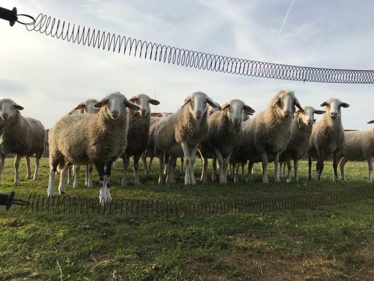 فيلا Storeفي Tourist Farm Artisek المظهر الخارجي الصورة